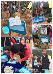 碧桂園植樹(shù)節(jié) 佩悅傳媒以專業(yè)公關(guān)策劃，賦能綠色品牌行動(dòng)